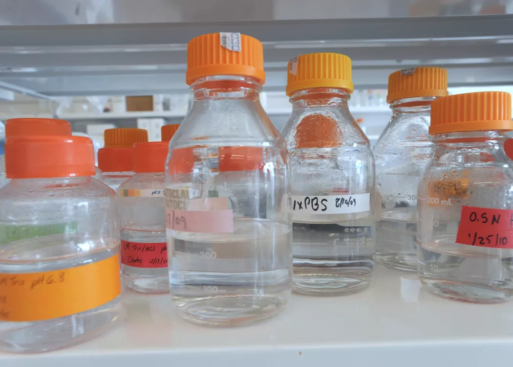 Close-up of various lab equipment, bottles with orange caps