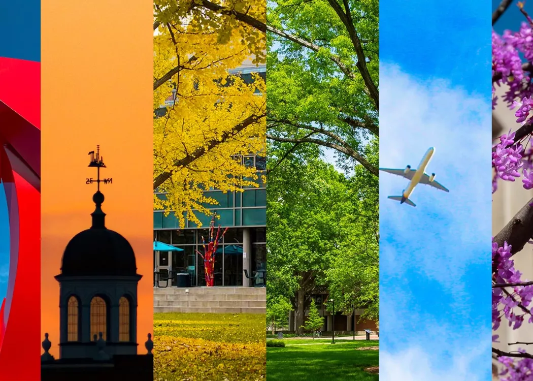 UofL photos highlighting a rainbow of red, orange, yellow, green, blue, and purple. From left to right columns of photos of a UofL sculpture, a sunset, a yellow tree in fall, a green tree in summer, a plane in blue sky, and purple flowers on a tree.